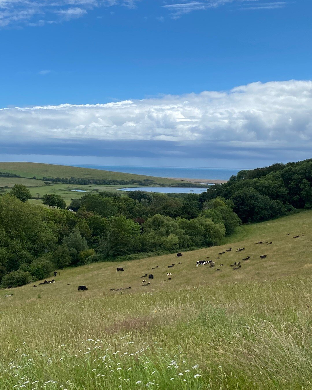 A couple of weekends ago I was soooo lucky to get to hop in my motor and head to an amazing 40th in Dorset.  I knew I was running on empty and top of my wish list was to see the sea before heading back the following day. Being a 🦀♋️ water is food fo